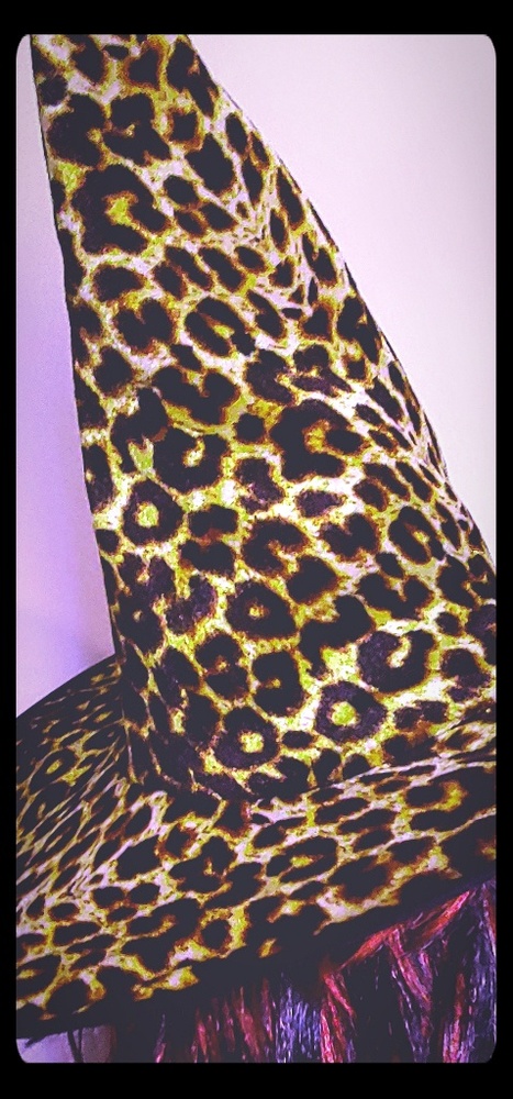 Halloween Hat